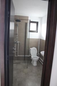 a bathroom with a toilet and a sink at Popas de munte Dâmbovicioara in Podu Dîmboviţei
