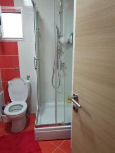 a bathroom with a toilet and a glass shower at Apartman Batuta in Budva