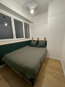ein Schlafzimmer mit einem Bett in einem Zimmer mit Fenstern in der Unterkunft Superbe appartement in Pau