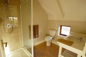 a bathroom with a shower and a toilet and a sink at Valley Farm Stay in Knysna