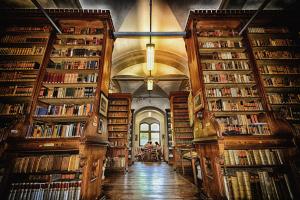 a library filled with lots of books at Weinquartier Bad Kösen in Naumburg