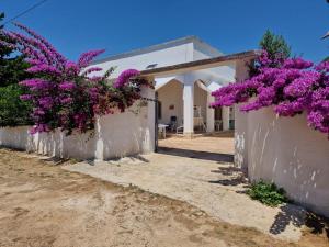 Κήπος έξω από το Villa Carmela a San Pietro in Bevagna (TA)