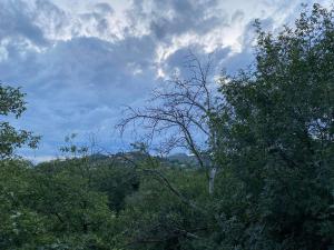 Paesaggio naturale nelle vicinanze dell'affittacamere