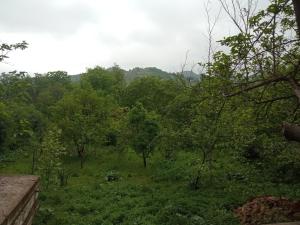 Paesaggio naturale nelle vicinanze dell'affittacamere