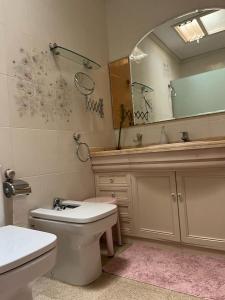 La salle de bains est pourvue de toilettes, d'un lavabo et d'un miroir. dans l'établissement Romantico Wellness Casa Veronica, à Elche