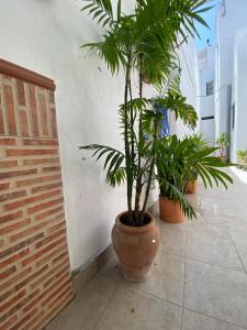 Fotografie z fotogalerie ubytování Casa Calle v destinaci Vejer de la Frontera