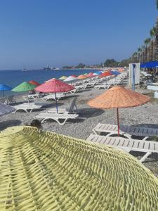 una playa de arena con sombrillas y sillas y el océano en Kerem Apart, en Milas