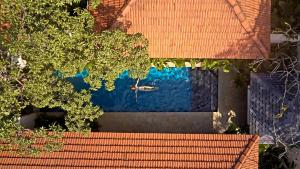 Πισίνα στο ή κοντά στο amã Stays & Trails Hacienda De Bastora, Goa +11 φωτογραφίες