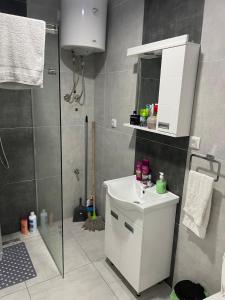 a bathroom with a shower and a white sink at Apartmani K&V in Veliko Gradište
