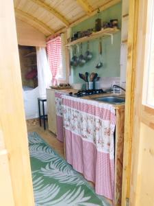 una cucina con lavandino e piano di lavoro di La Roulotte romantique du P'tit Buron a Saint-Saturnin