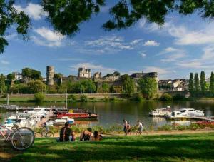 personas sentadas en el césped cerca de un río con barcos en Bel appart Bd Foch en Angers