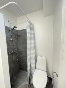 e bagno con servizi igienici e doccia. di aday - Ocean Shores central Apartment a Frederikshavn
