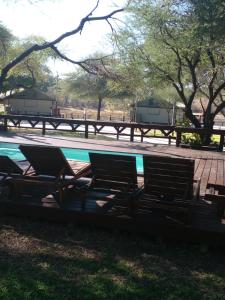 Bazén v ubytování Nako Okavango Guesthouse nebo v jeho okolí