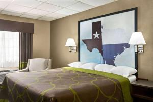 Postel nebo postele na pokoji v ubytování Super 8 by Wyndham Gainesville TX