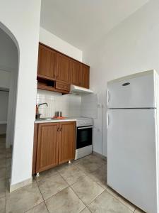 uma cozinha com um frigorífico branco e armários de madeira em Restía em Donousa