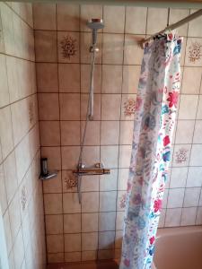 a shower with a shower curtain in a bathroom at Ferienwohnung Rühlmann in Detern