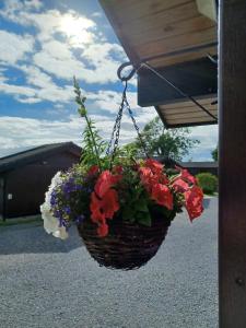 a basket of flowers hanging from a porch at Green View Lodges in Wigton