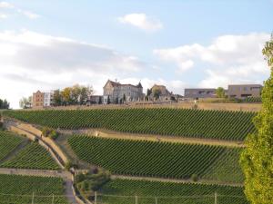 a view of a vineyard with a house in the background at Schlosshotel Steinburg in Würzburg