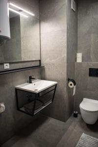 a bathroom with a sink and a toilet and a mirror at Aparthotel Green Resort in Hrubá Borša