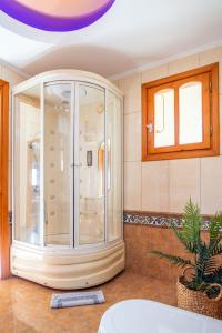 PalaiokastroにあるNami Villa _PrivatePool_ SeaViewの植物のある部屋にある大きなガラスのシャワー