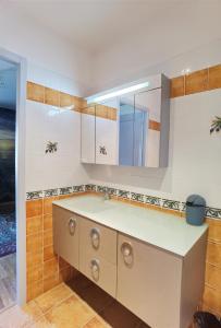 uma casa de banho com um lavatório e um espelho em Le Clos des Consuls em Tarascon