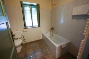 a bathroom with a toilet and a tub and a sink at Wenckheim Vadászház in Nagyoroszi