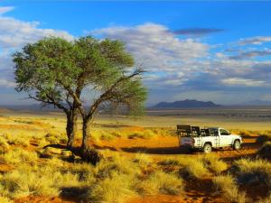 a white truck parked next to a tree in the desert at Gondwana Namib Desert Lodge in Solitaire