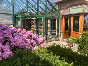 a greenhouse with purple flowers in front of it at Tannine et Cuisine in Jabbeke