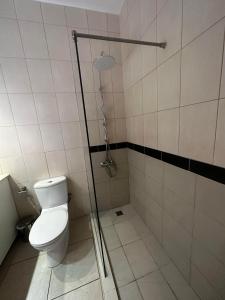 ein Bad mit einem WC und einer Duschkabine in der Unterkunft Spacious and Modern 2 bed Apartment in Peyia in Peyia