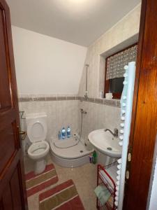 a bathroom with a toilet and a sink at Oaza mira Vlasic in Vlasic
