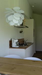 - une cuisine avec un comptoir et une cafetière dans l'établissement Buitenlede 7 - Suite M, à Dwingeloo
