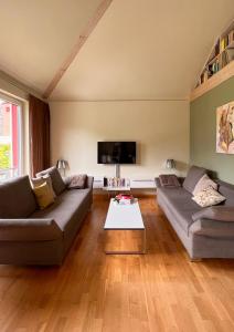 a living room with two couches and a tv at Ferienhaus Conradshöh in Ilmenau