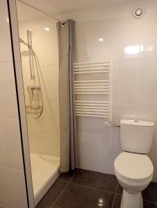 a bathroom with a toilet and a shower at La Lavandière in Puimoisson