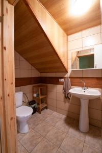 y baño con aseo y lavamanos. en Alaušo Salos - Malinauskų kaimo turizmo sodyba, en Sudeikiai