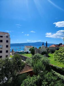 a view of a city with a building and trees at Apartmani Stipanic Tivat in Tivat