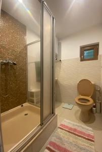 uma casa de banho com um WC e um chuveiro com uma porta de vidro em Cabana Gavroche em Moara Ungurului