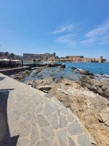 a person standing next to a body of water at COLLIOURE tres bel appart a 150 metres des plages avec jardin prive et parking dans residence securisee in Collioure