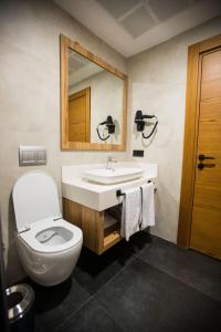ein Badezimmer mit einem WC, einem Waschbecken und einem Spiegel in der Unterkunft The Old Apprentice in Ardeşen