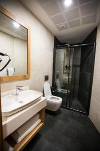 a bathroom with a toilet and a sink and a shower at The Old Apprentice in Ardeşen