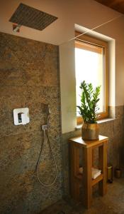 uma casa de banho com um chuveiro e uma planta na parede em Apartamenty u Harrego BOUTIQUE SPA em Kudowa-Zdrój
