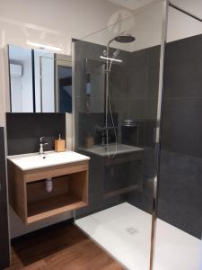 La salle de bains est pourvue d'un lavabo et d'une douche. dans l'établissement CHAMBRE D HOTES AU COEUR DE MEURSAULT, à Meursault