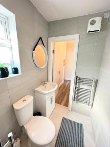 uma casa de banho com um WC, um lavatório e um espelho. em Dublin Apartments em Dublin
