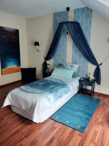 een slaapkamer met een bed met een blauwe baldakijn bij Haus Drossel in Schüttorf
