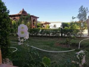 a garden hose on the grass in front of a house at Hurghada-Magawish Studio 2 in Hurghada +3 photos
