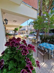a bunch of purple flowers on a patio at Hotel Rossella in Rimini