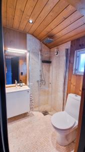 een badkamer met een toilet, een wastafel en een douche bij Skurdalsvegen 37L in Geilo