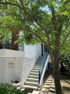Vonkajšia záhrada v ubytovaní Blue Maison