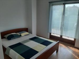 um quarto com uma cama e uma grande janela em Ime Ruze apartmani Banja Vrujci em Gornja Toplica