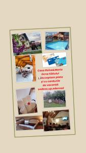 a collage of pictures of a house at Casa Raisa & Maria in Ocna Sibiului