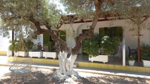 A garden outside Leros Eleonas ApartmentS